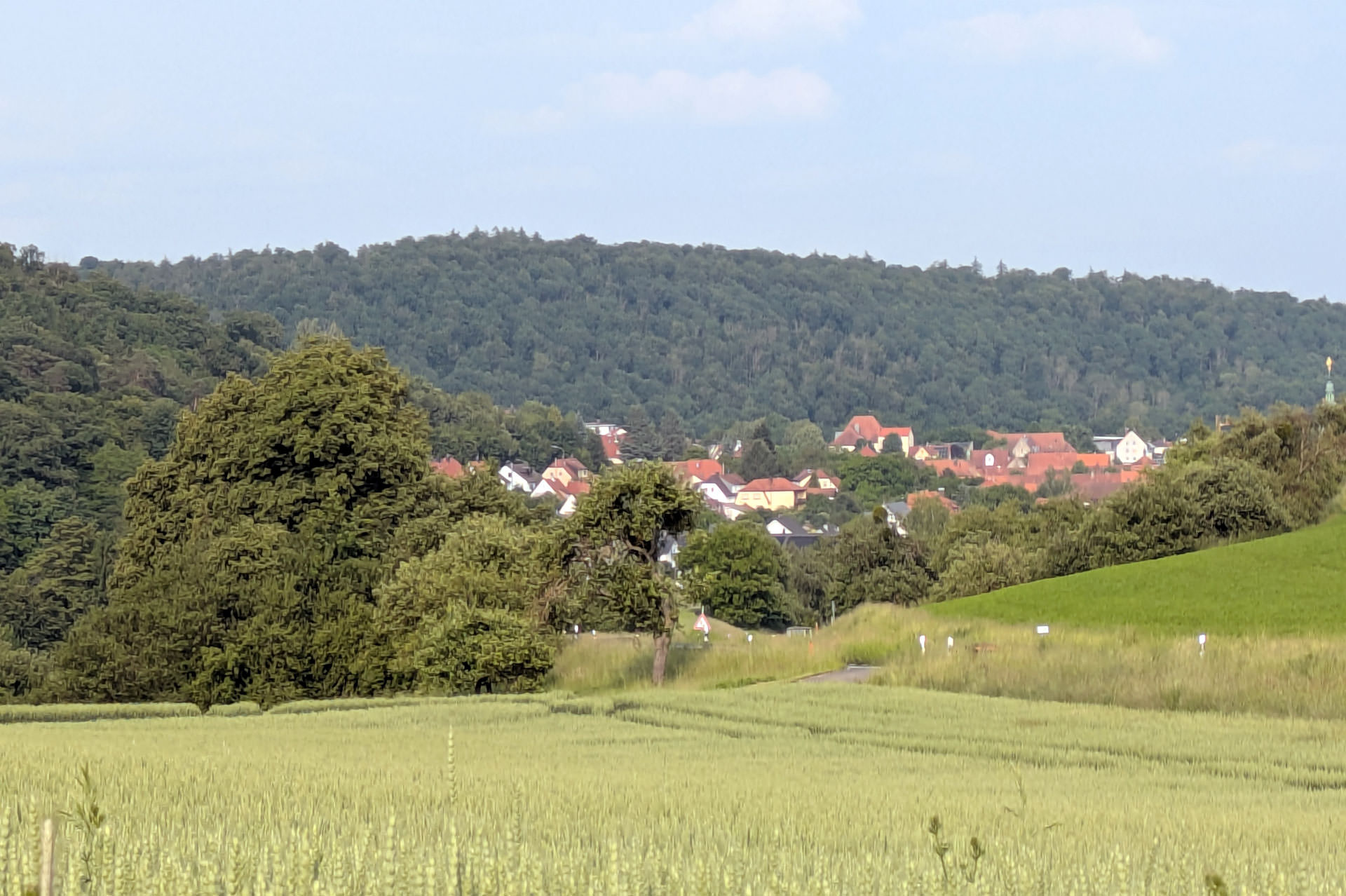 Der Steigerwald. Sanfte Hügellandschaft, Buchenwälder. Eine Region zum Entschleunigen.